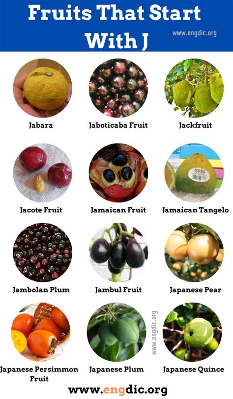 fruit or vegetable starting with x|vegetables that begin with j.